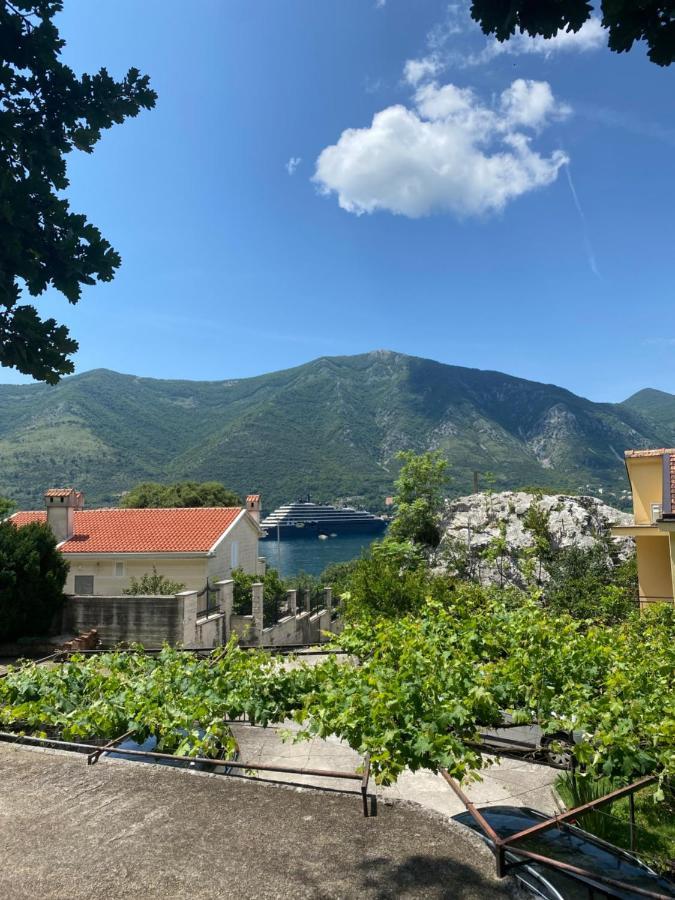 Vasiniko Apartment Κότορ Εξωτερικό φωτογραφία